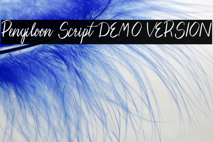 Pengiloon Script [DEMO VERSION] Example 2