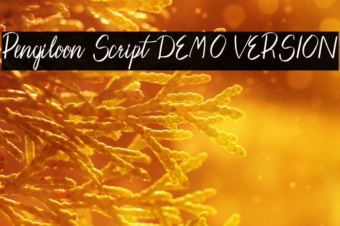 Pengiloon Script [DEMO VERSION] Example 3