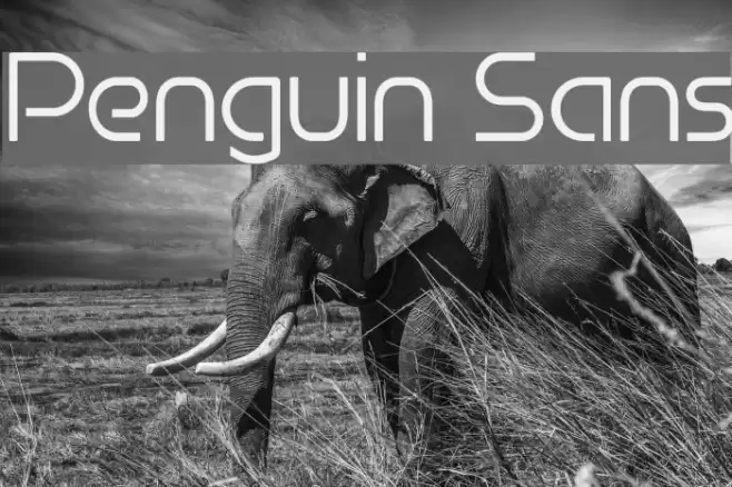 Penguin Sans Font examples
