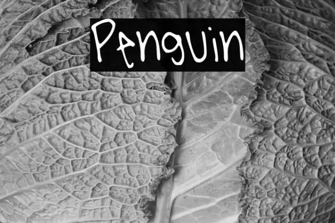 Penguin Font examples