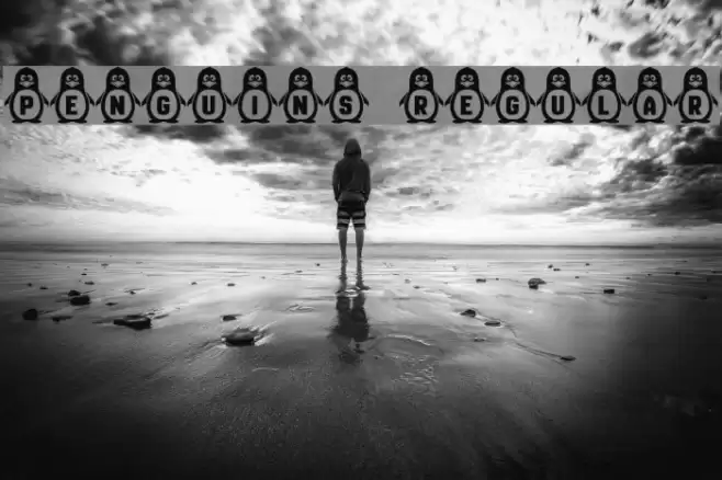 Penguins Regular Font examples