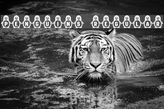 Penguins Regular Font examples