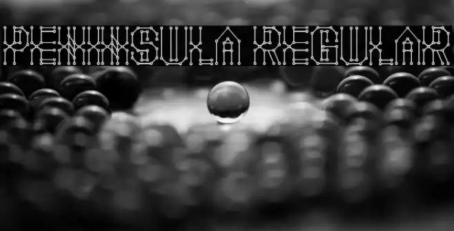 Peninsula Regular Caratteri examples