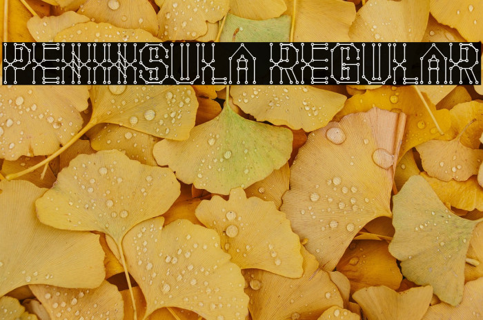 Peninsula Regular Example 2