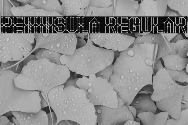 Peninsula Regular Caratteri examples
