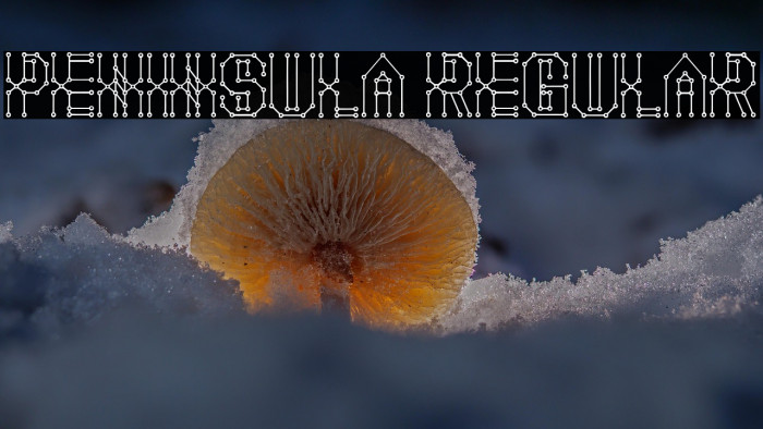 Peninsula Regular Example 3