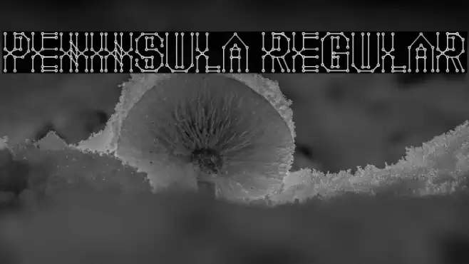 Peninsula Regular Caratteri examples