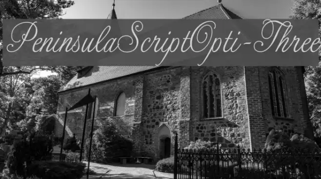 PeninsulaScriptOpti-Three Font examples
