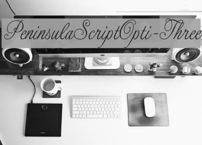 PeninsulaScriptOpti-Three Font examples