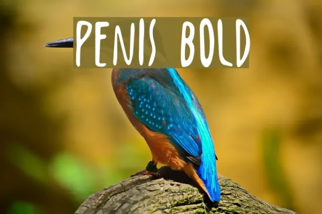 Penis Bold Example 1