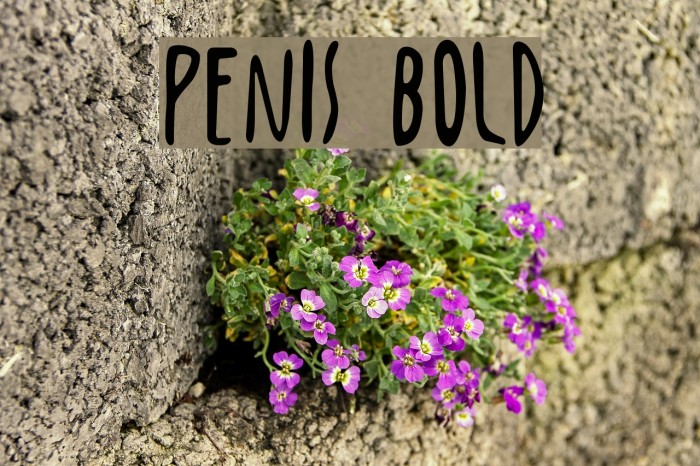 Penis Bold Font examples