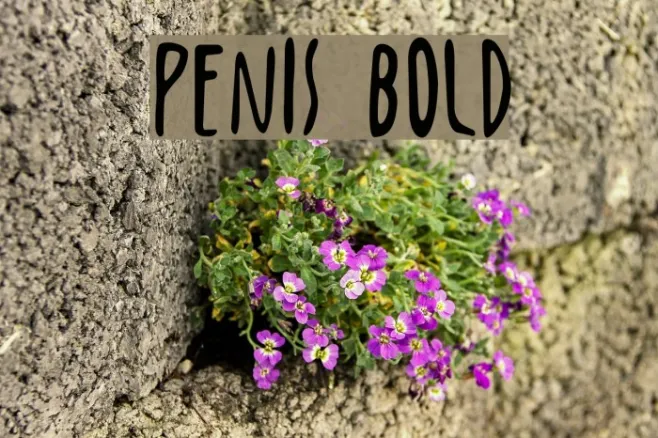 Penis Bold Example 3