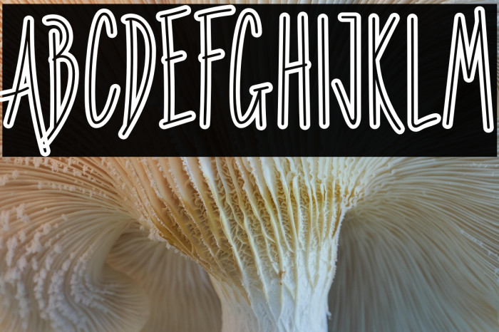 Penitencia Example 2