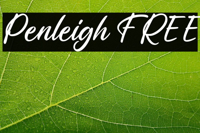 Penleigh FREE Example 3