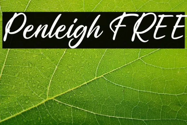 Penleigh FREE Example 3
