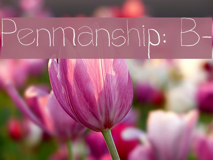 Penmanship: B- Font examples