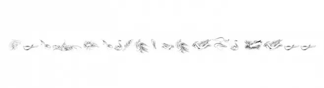 Penmanship Birds Free  Free Fonts Download