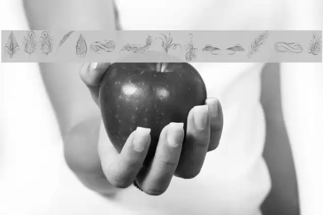 Penmanship Feathers Font examples