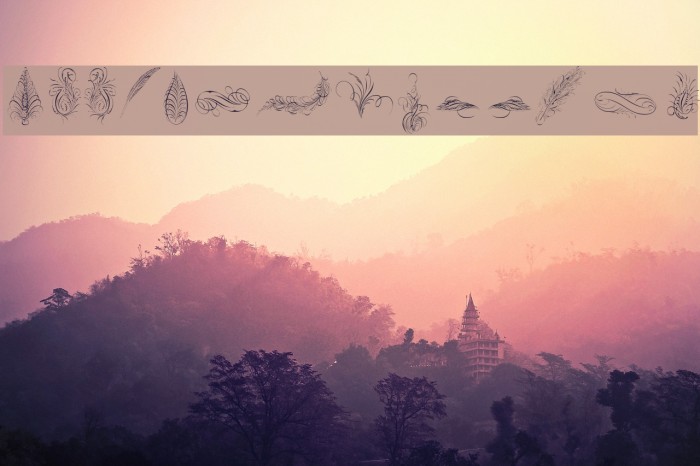 Penmanship Feathers Example 2