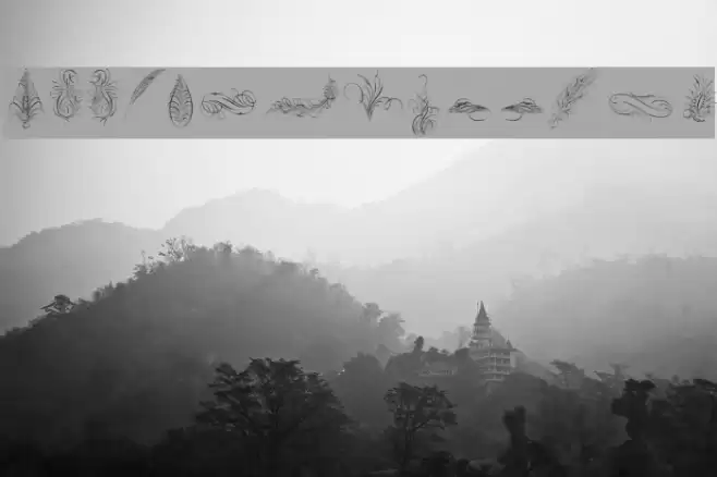 Penmanship Feathers Font examples