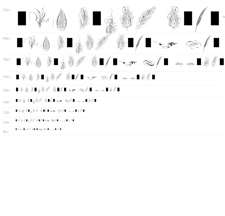 Penmanship Feathers Waterfall