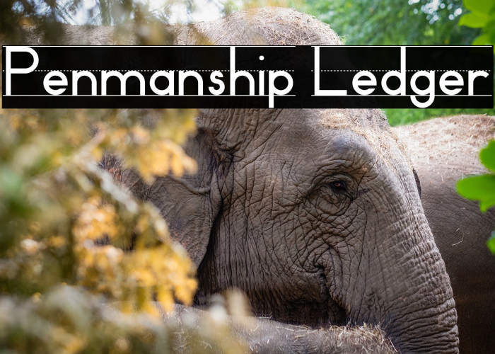 Penmanship Ledger Example 1