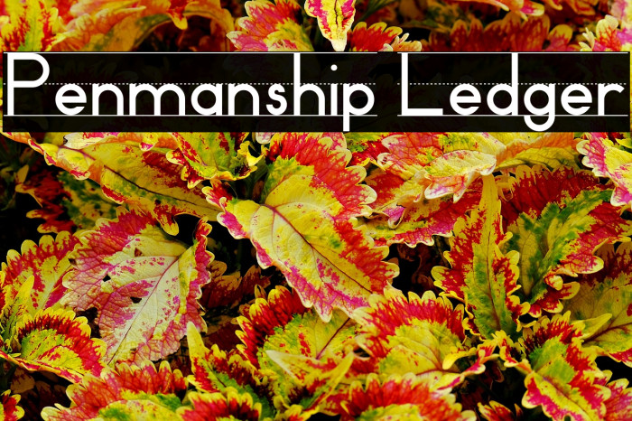 Penmanship Ledger Example 2