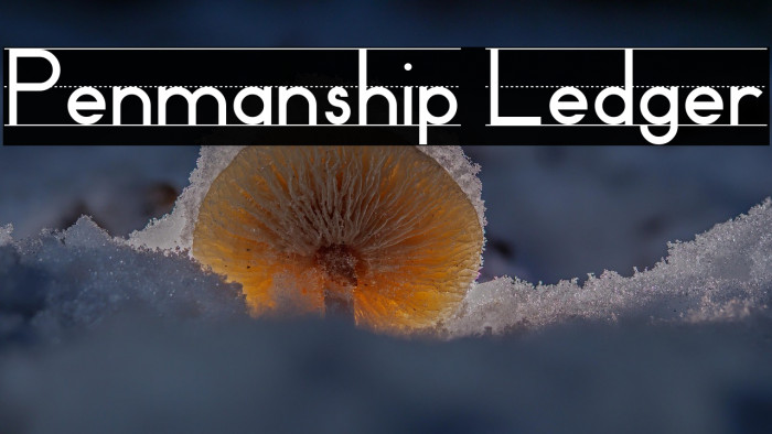 Penmanship Ledger Example 3