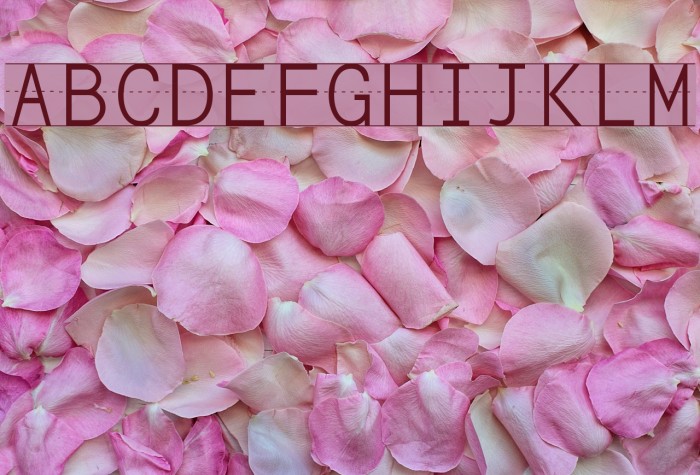 Penmanship Print Font examples