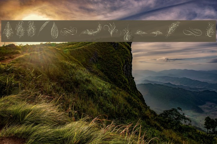 PenmanshipFeathers Example 3