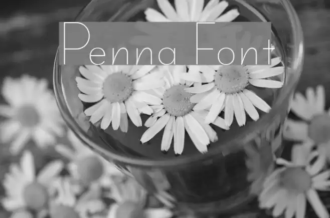 Penna Font examples