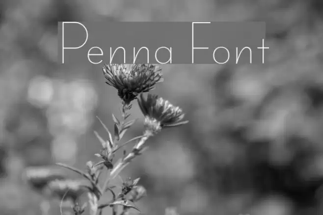 Penna Font examples