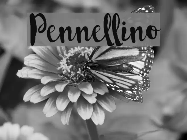 Pennellino Font examples