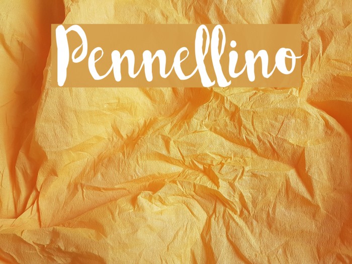 Pennellino Example 3