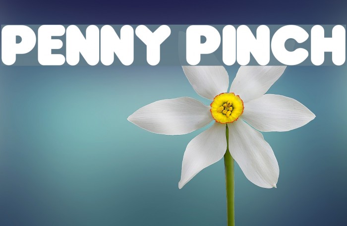 Penny Pinch Font examples