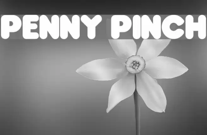 Penny Pinch  examples