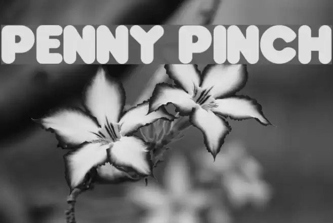 Penny Pinch  examples