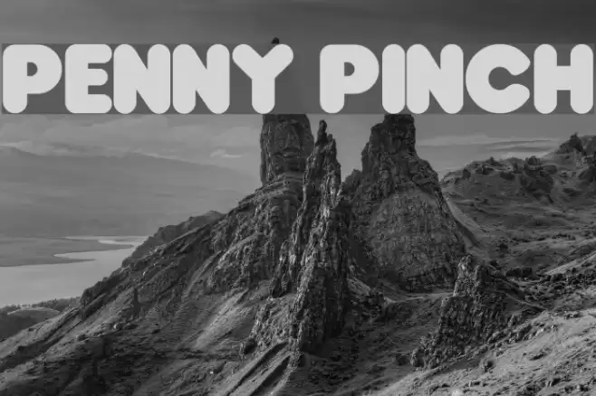 Penny Pinch  examples