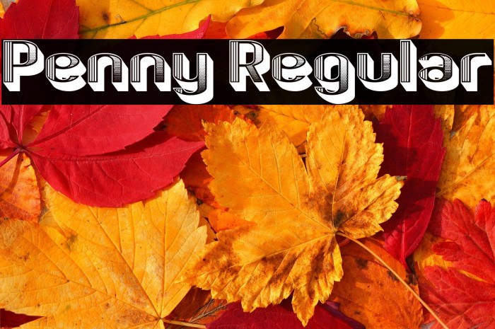 Penny Regular Example 3