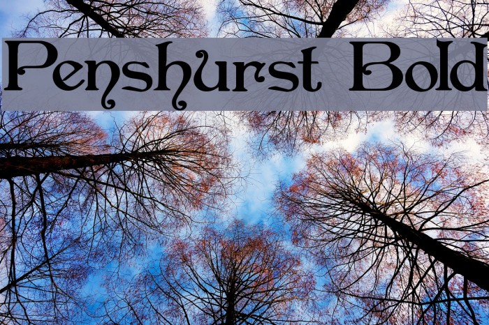 Penshurst Bold Font examples