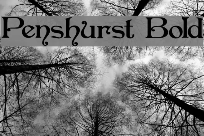 Penshurst Bold Caratteri examples