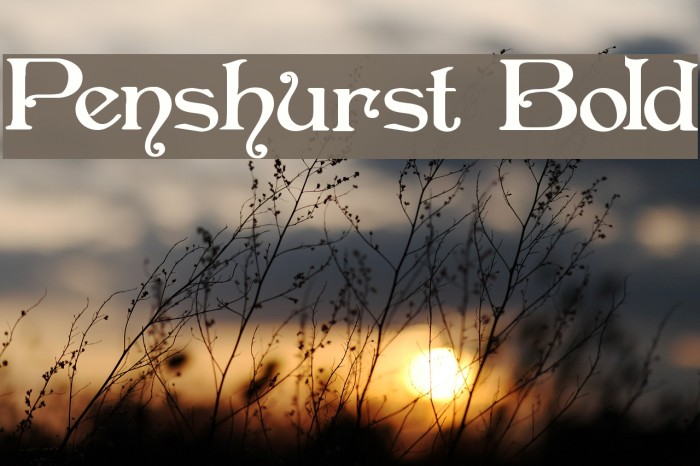 Penshurst Bold Font examples