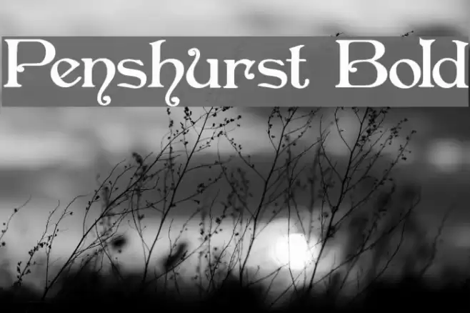 Penshurst Bold Caratteri examples