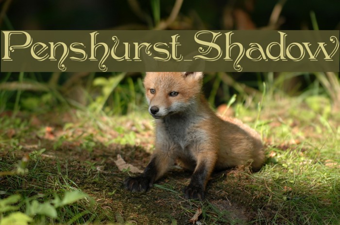 Penshurst_Shadow Font examples