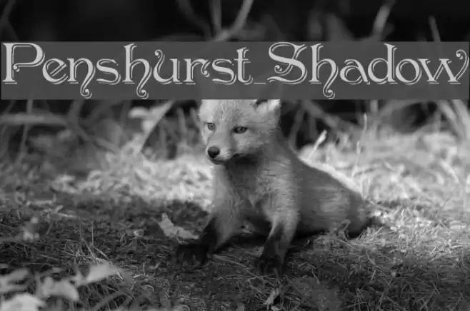 Penshurst_Shadow Caratteri examples