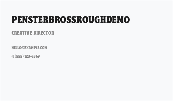 PensterBrossRoughDemo Business Card
