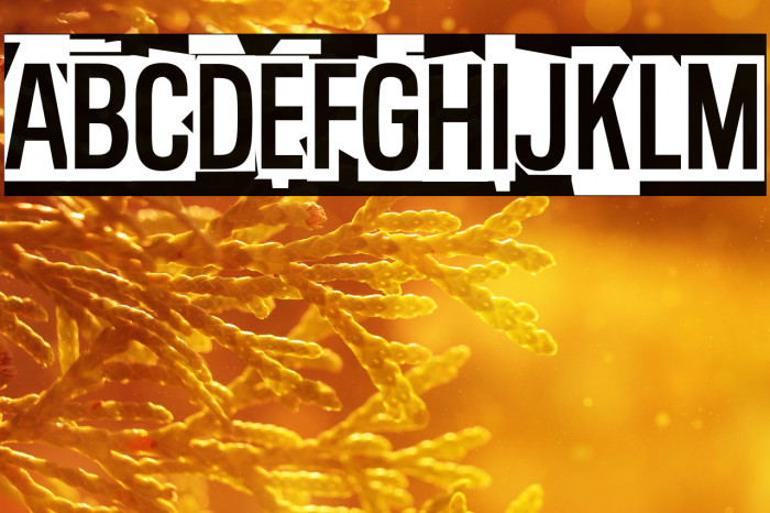 Pent-Up Rage Example 2