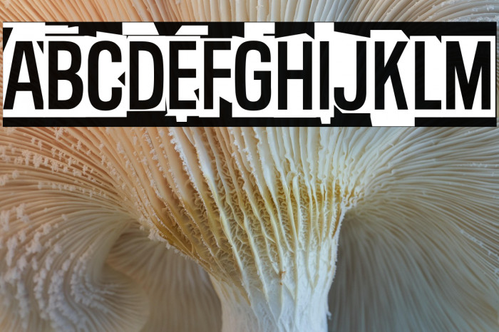 Pent-Up Rage Example 3