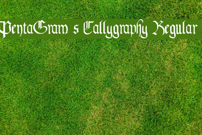 PentaGram s Callygraphy Regular Polices examples