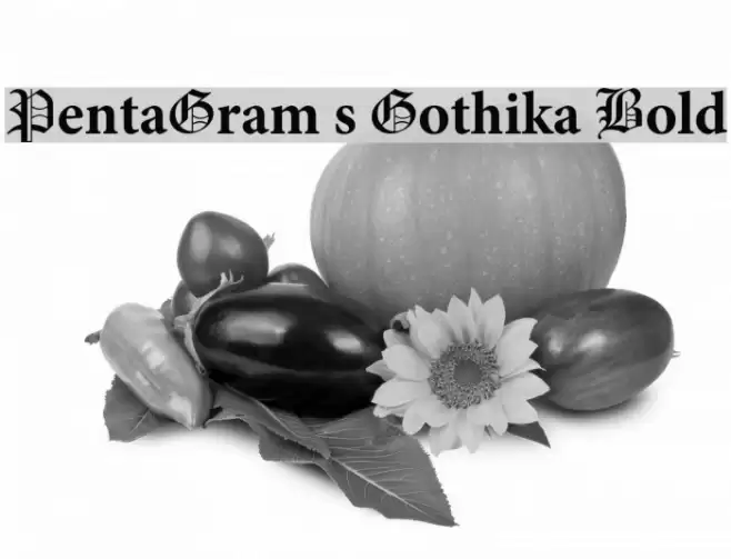 PentaGram s Gothika Bold Font examples